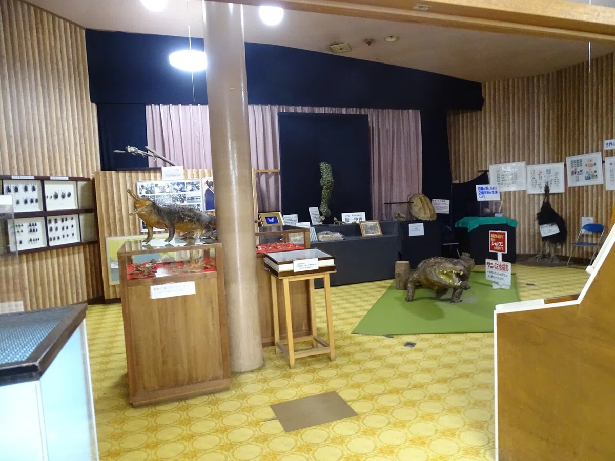 画像14
