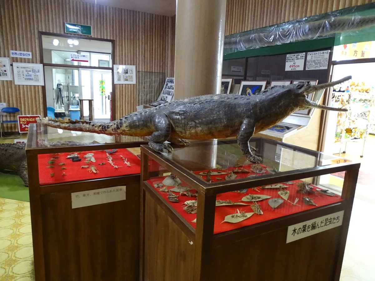画像17