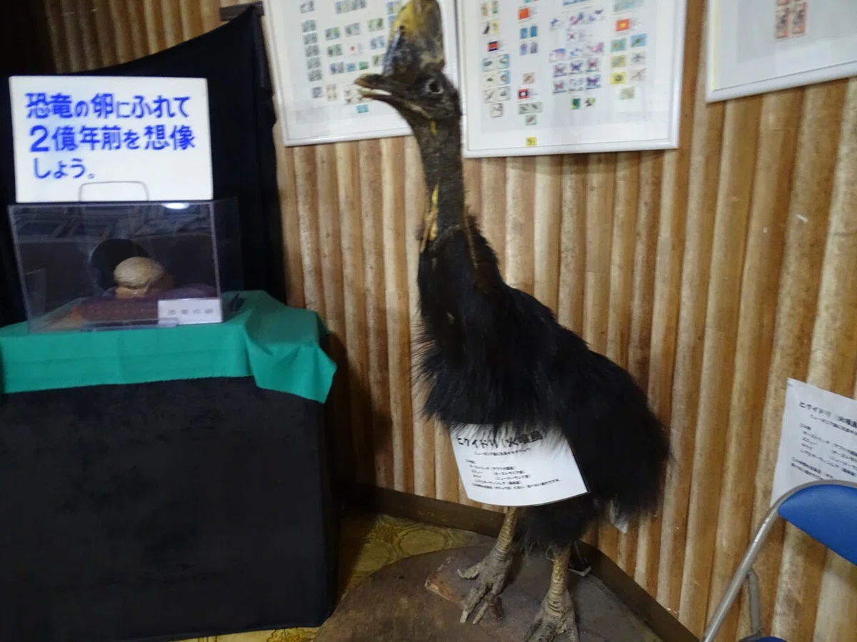 画像21