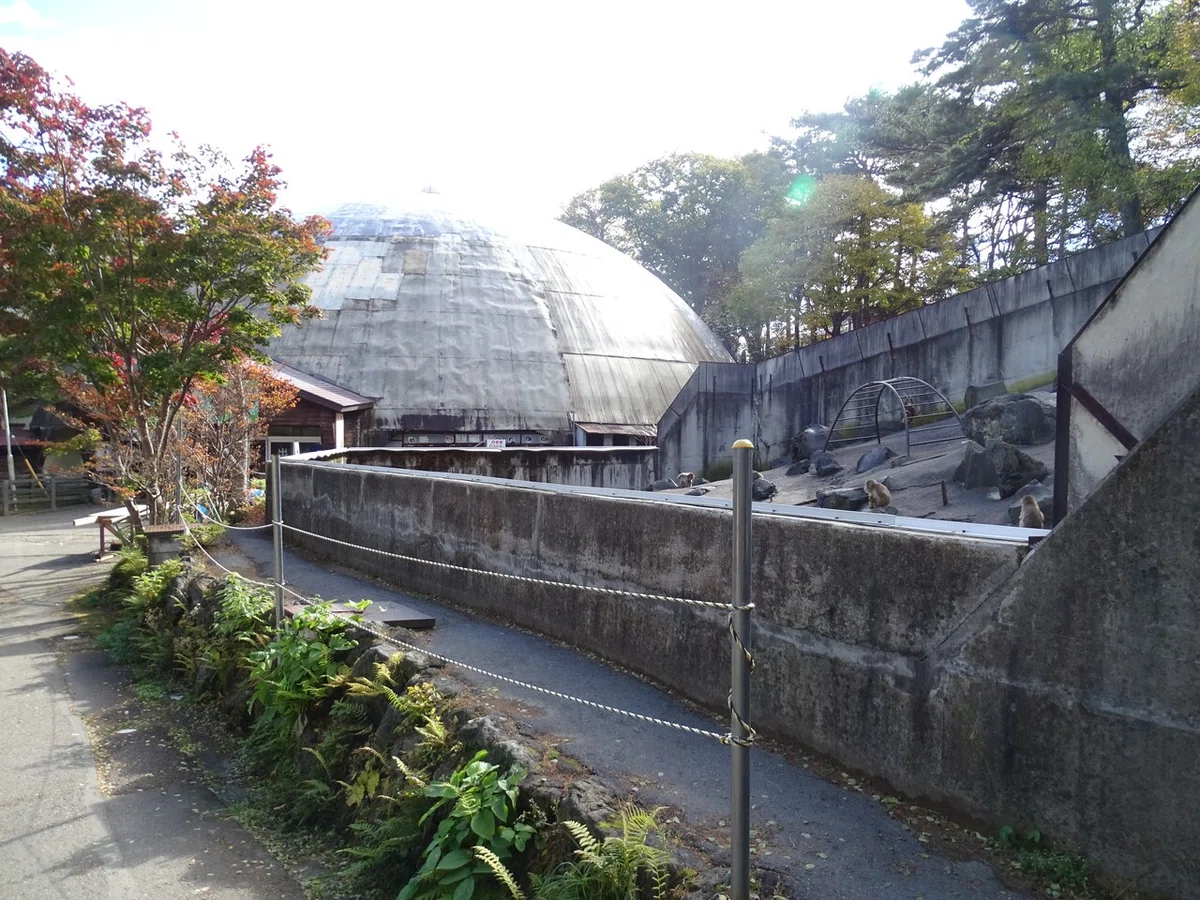 画像22