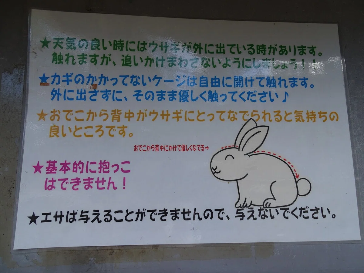 画像38