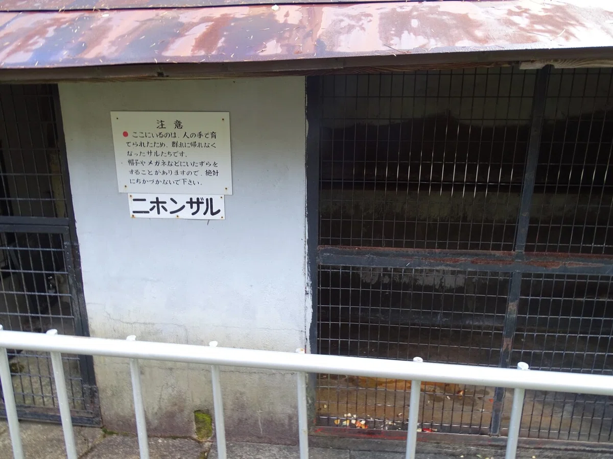 画像36