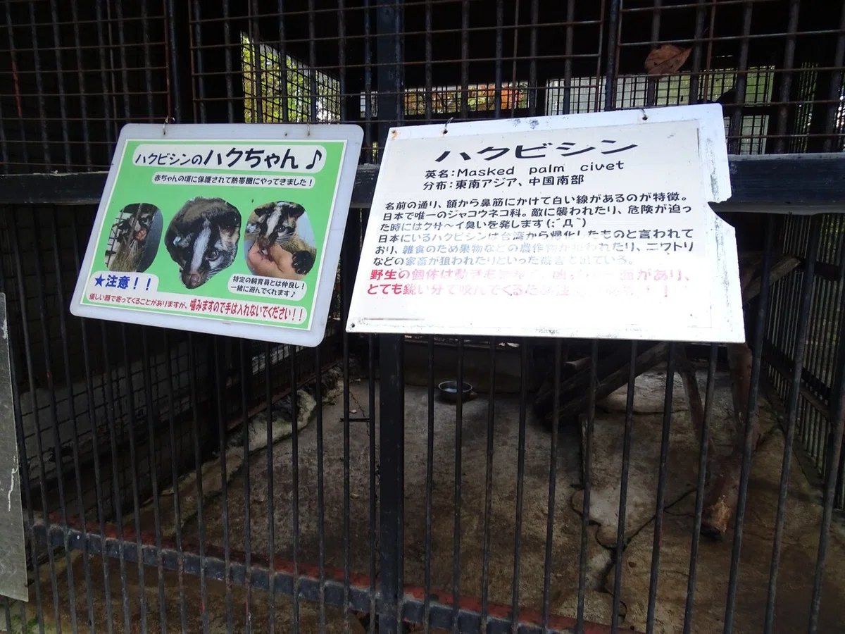 画像33