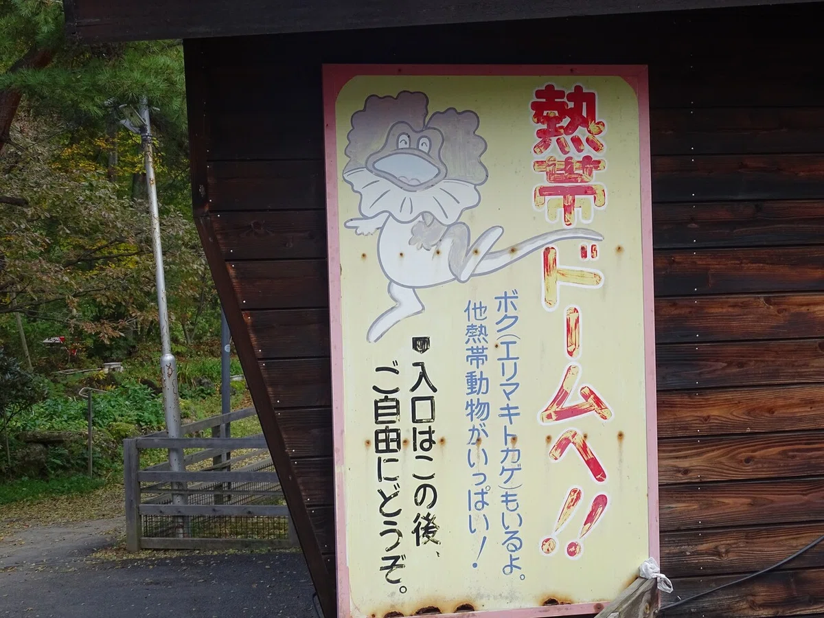 画像40