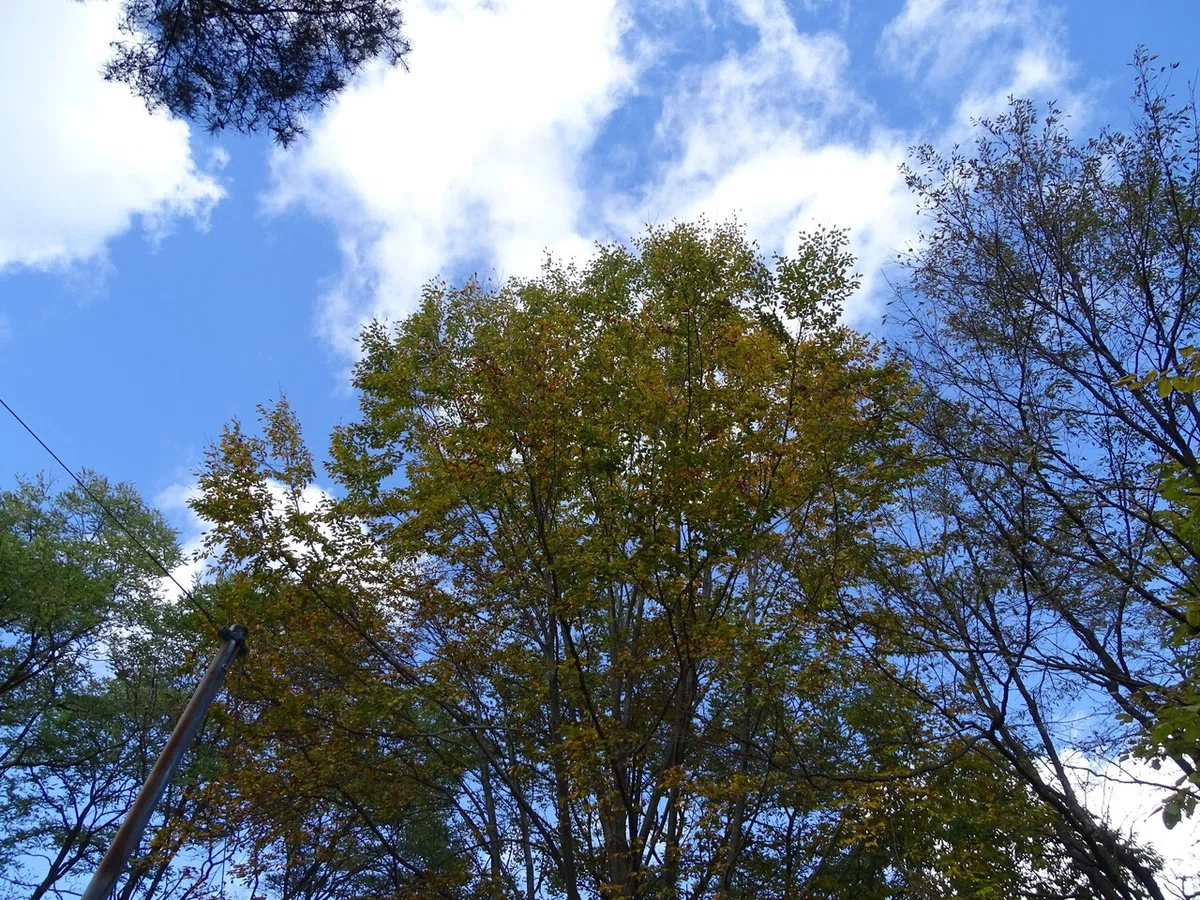 画像34