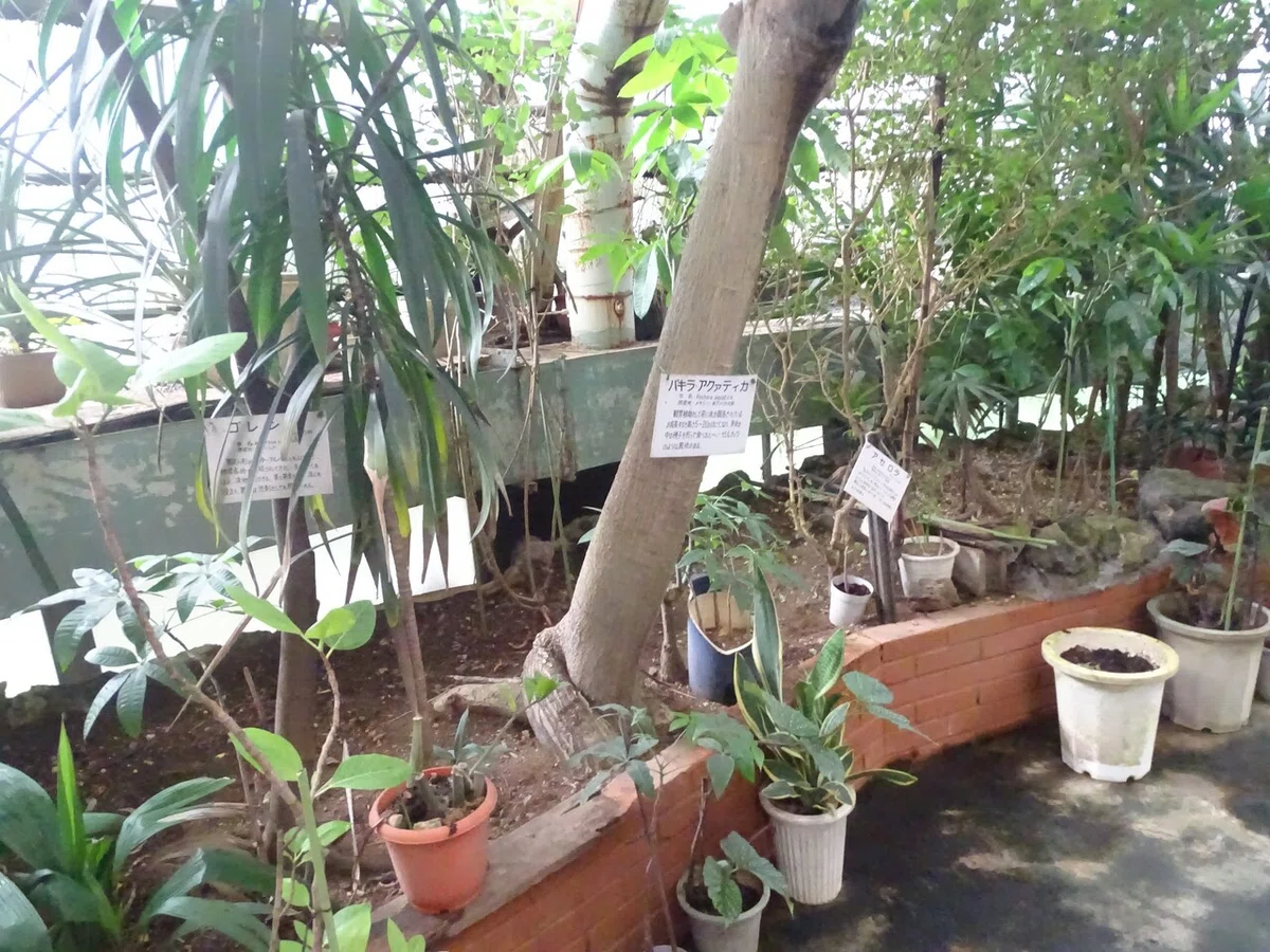 画像46