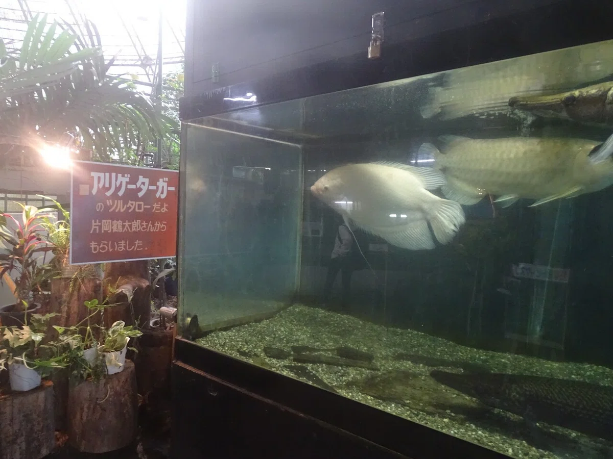 画像48