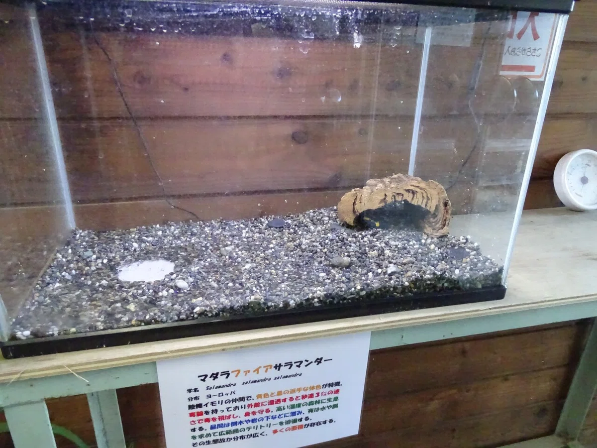 画像47