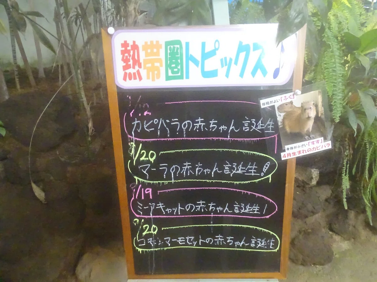 画像50