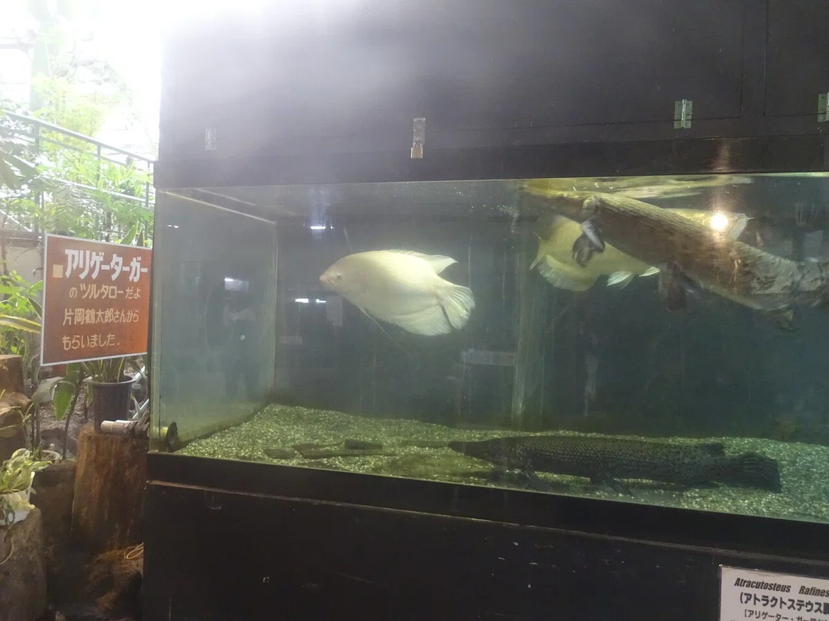 画像49