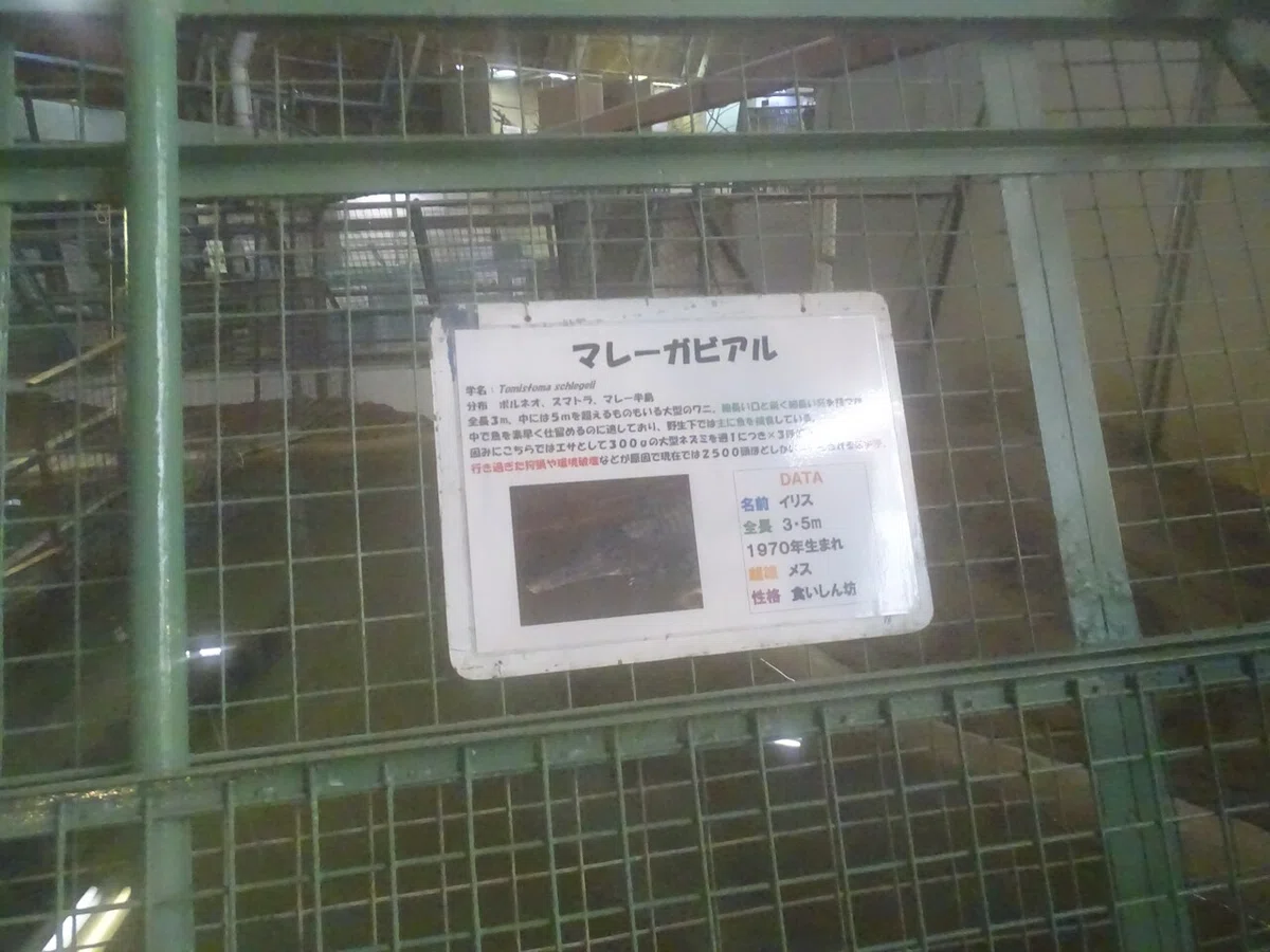 画像52