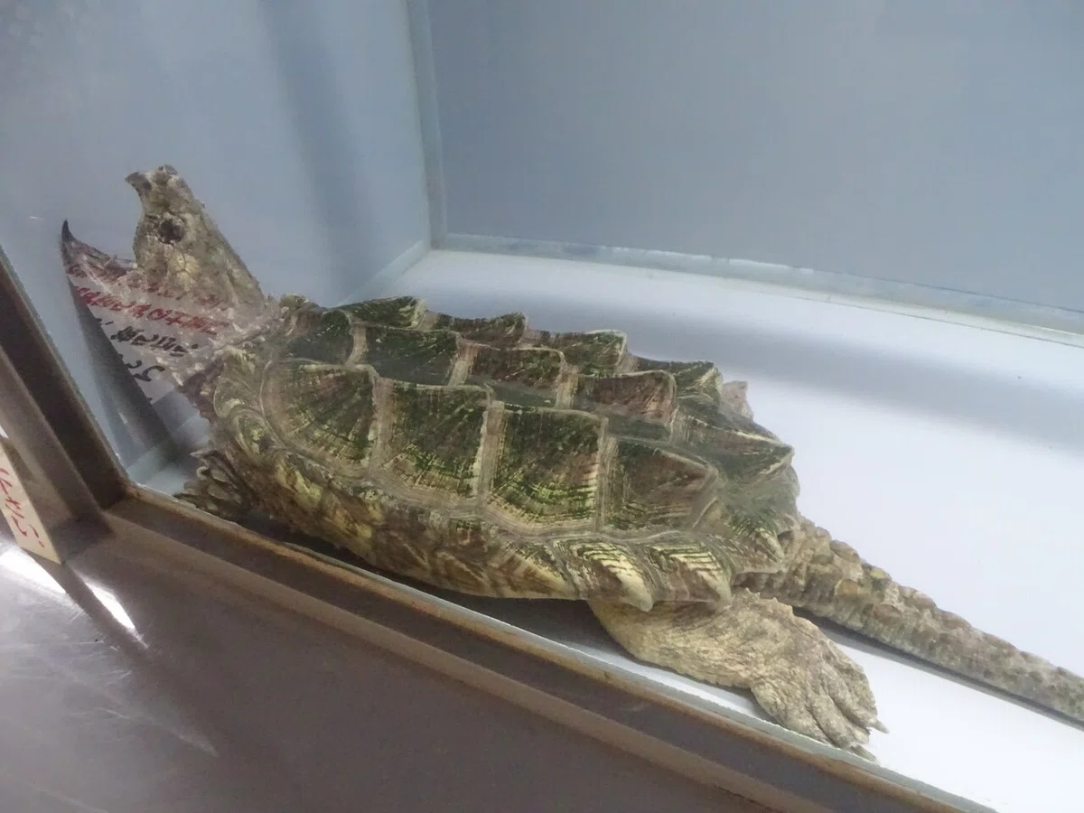 画像57