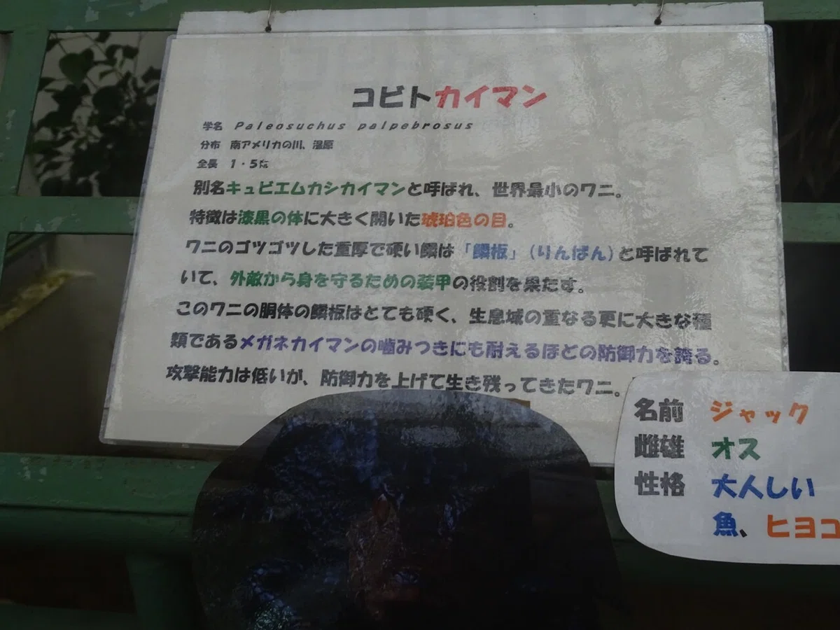 画像76