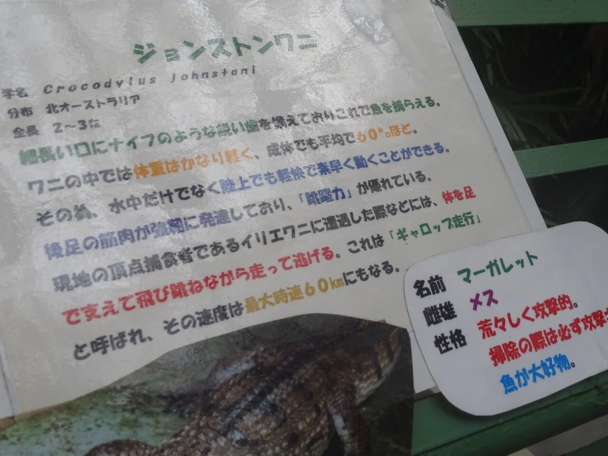 画像75