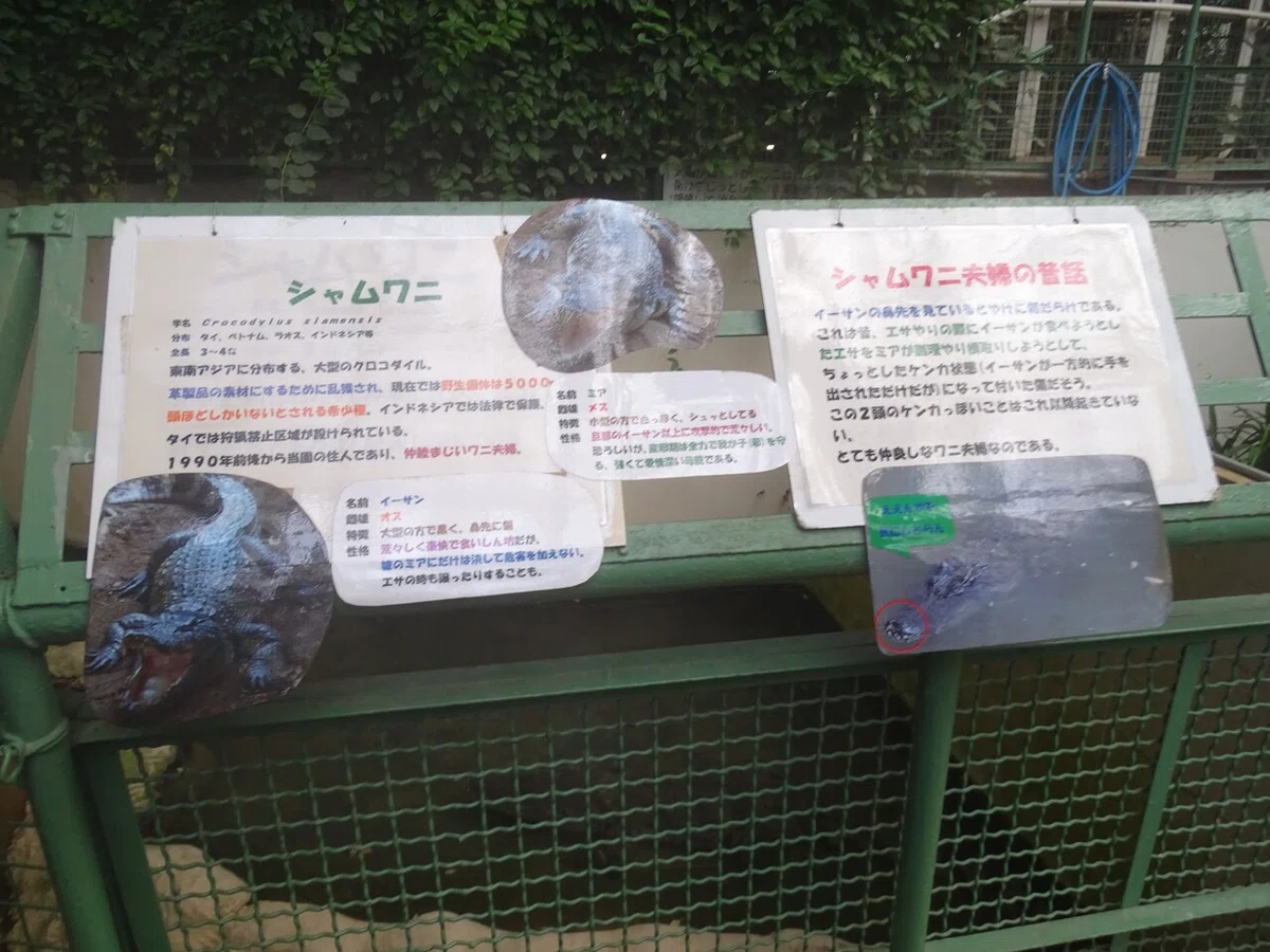 画像71