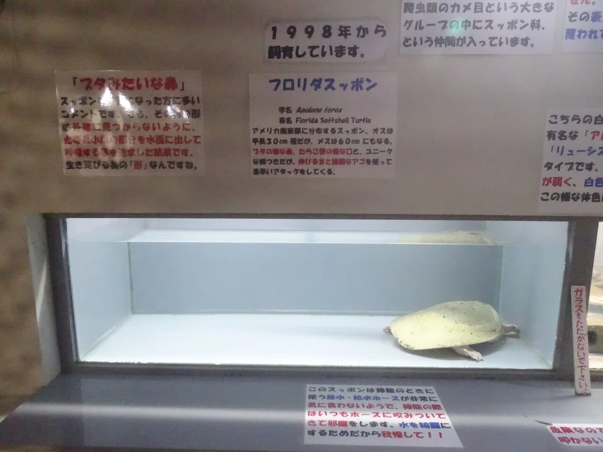 画像54