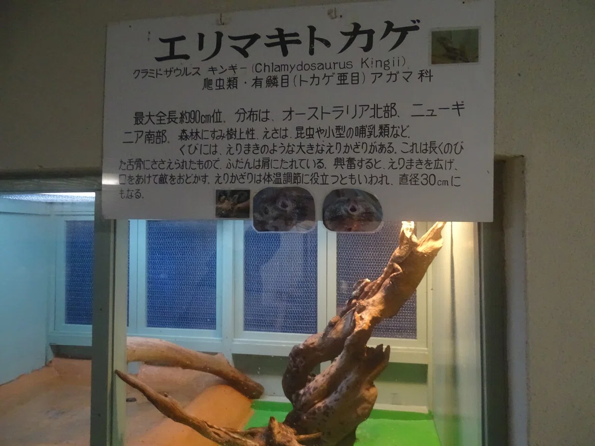 画像59