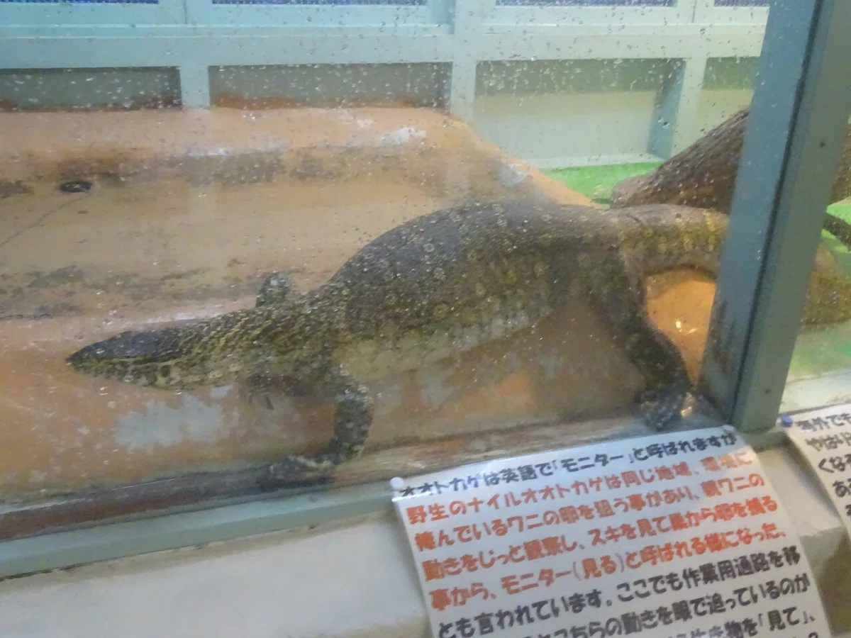 画像64