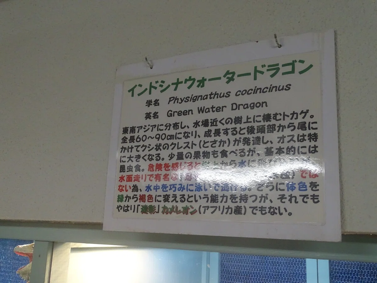 画像63