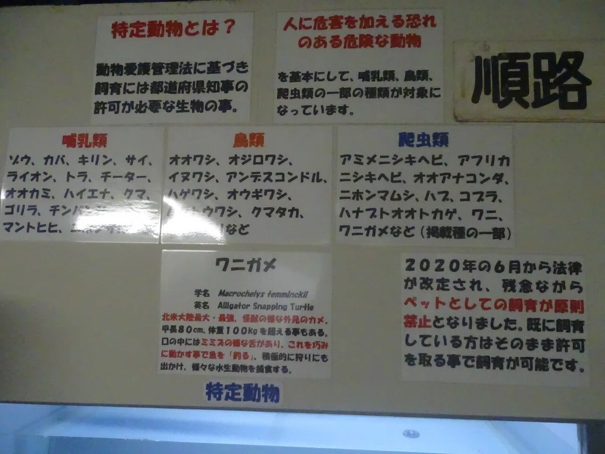 画像58
