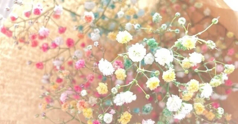 究極の癒しと安らぎを自分にゆるしていく 流香 一人ひとりの幸せ作家 Note