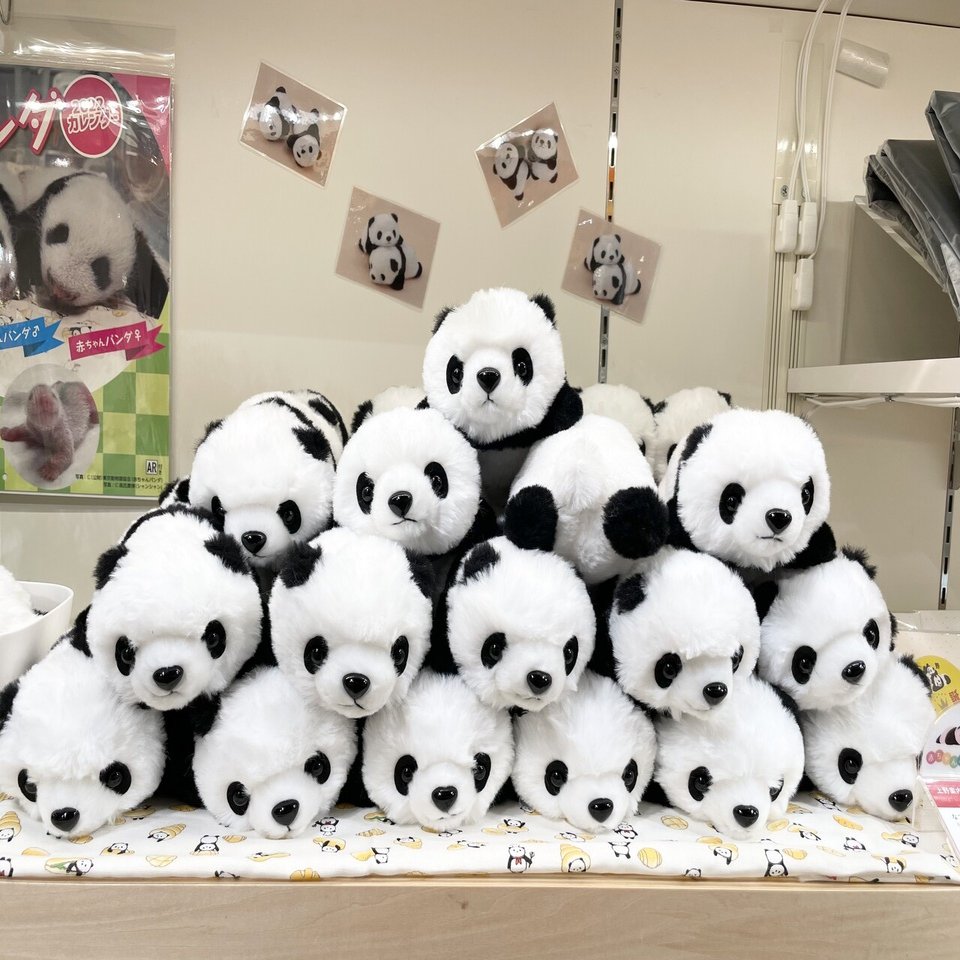 制作秘話】なでなで子パンダができるまで｜上野案内所