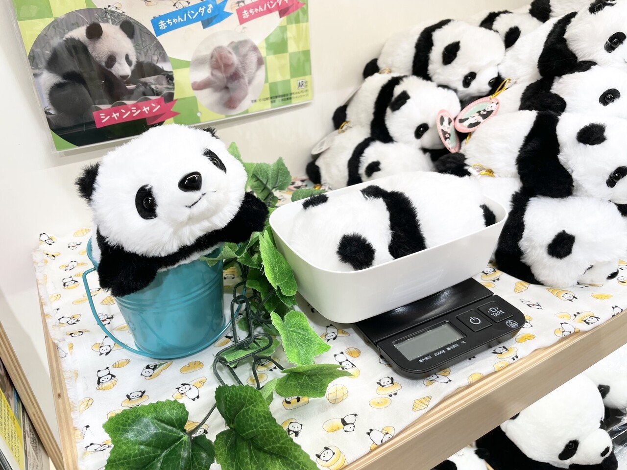 制作秘話 なでなで子パンダができるまで 上野案内所 Note 制作秘話 なでなで子パンダができるまで 上野案内所 Note