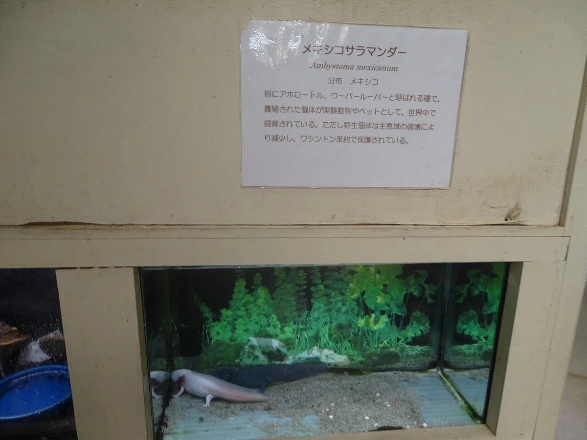 画像90