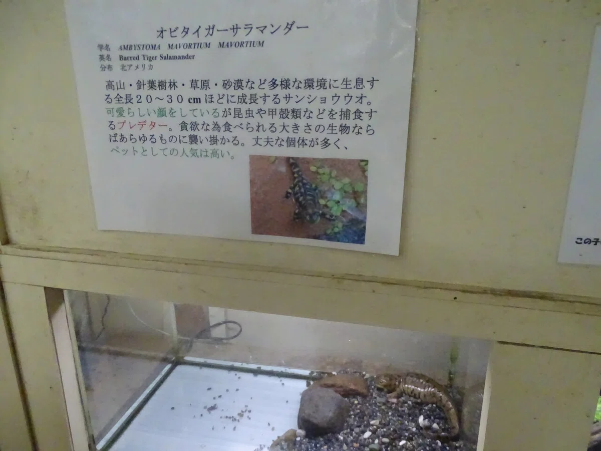 画像91