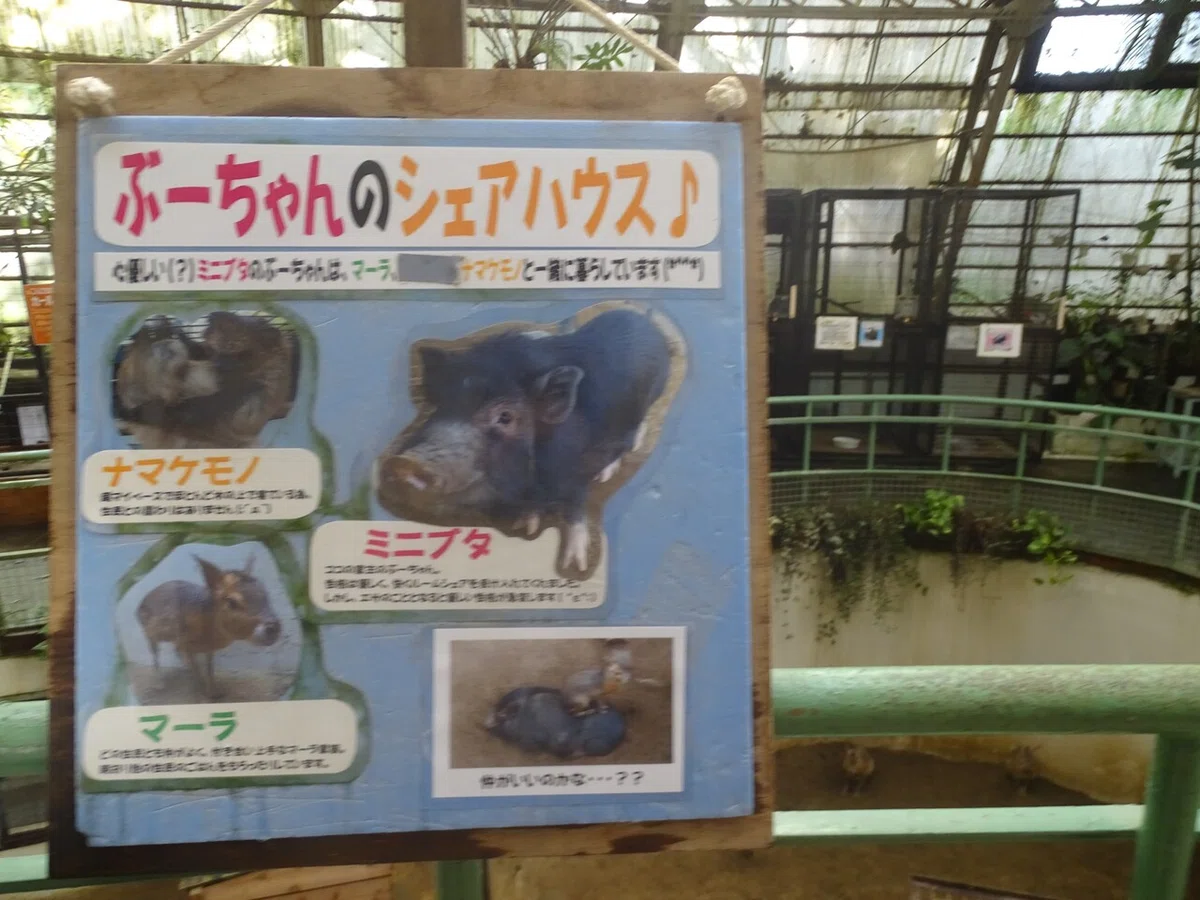画像83