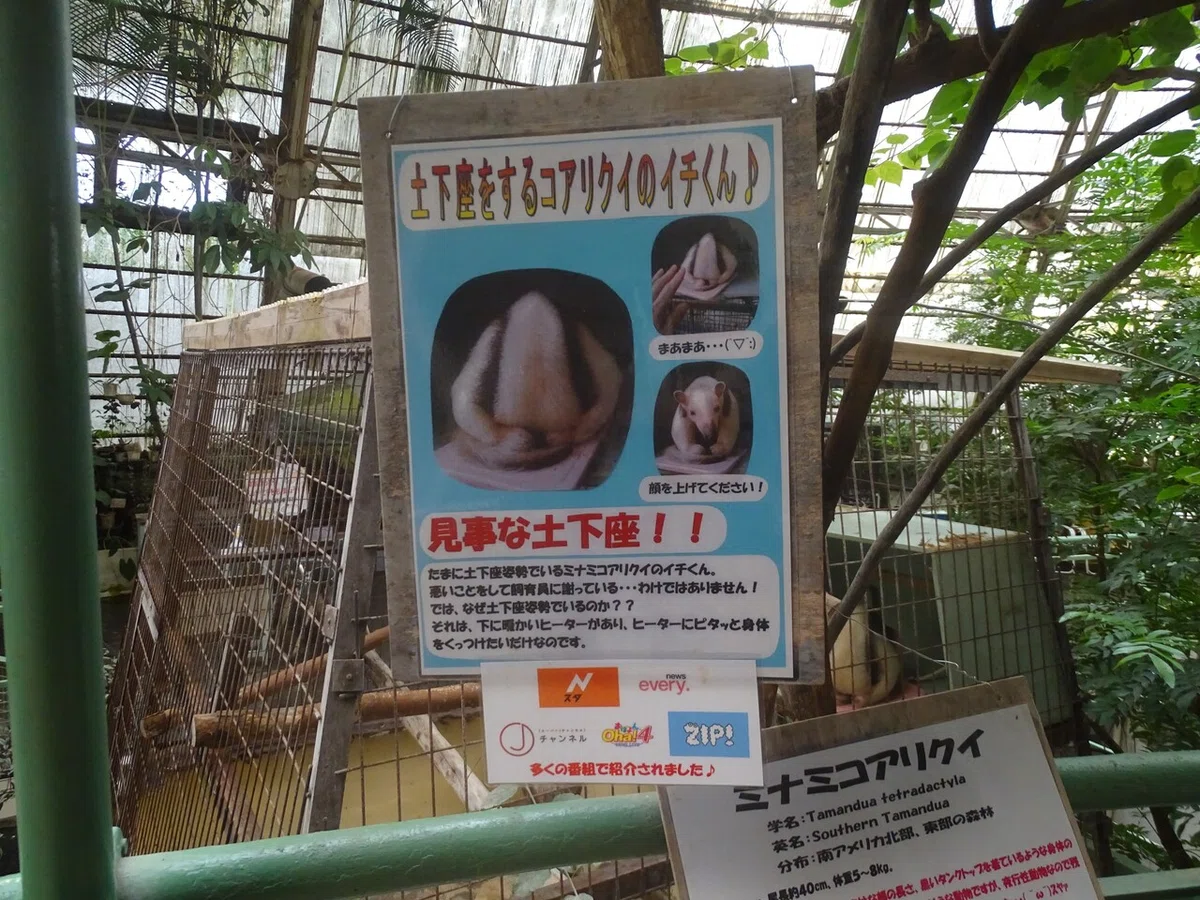画像84