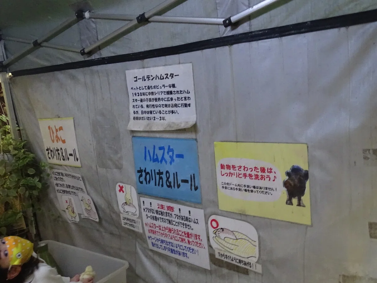 画像107
