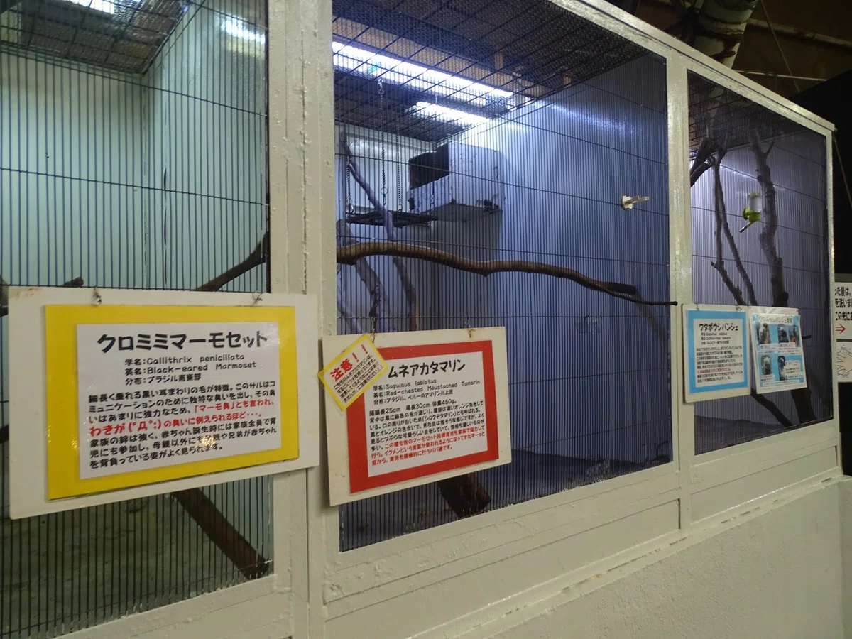 画像94