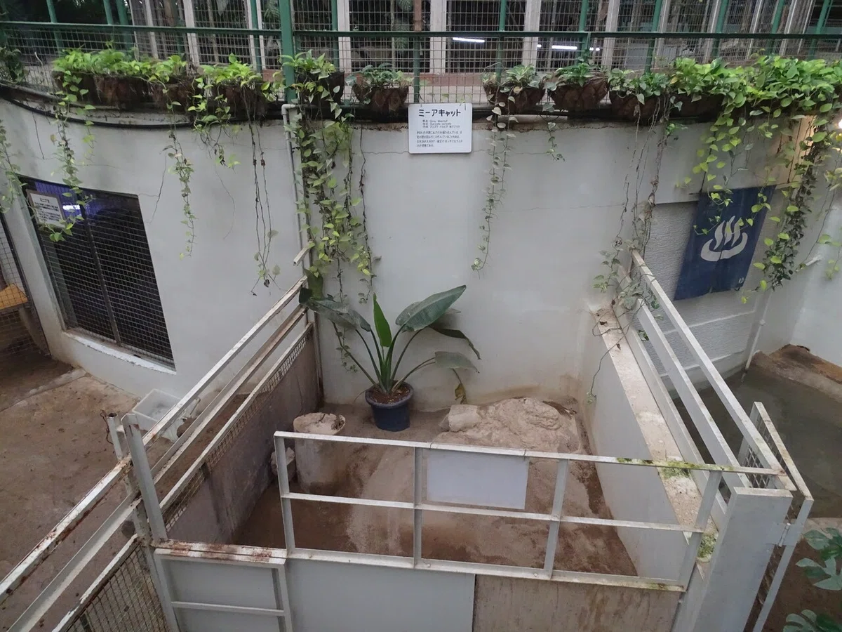 画像102