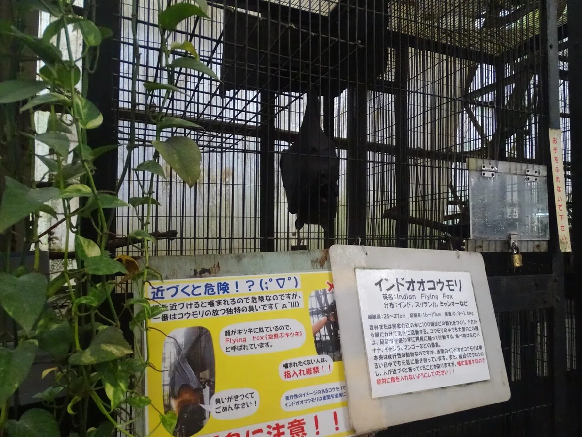 画像104
