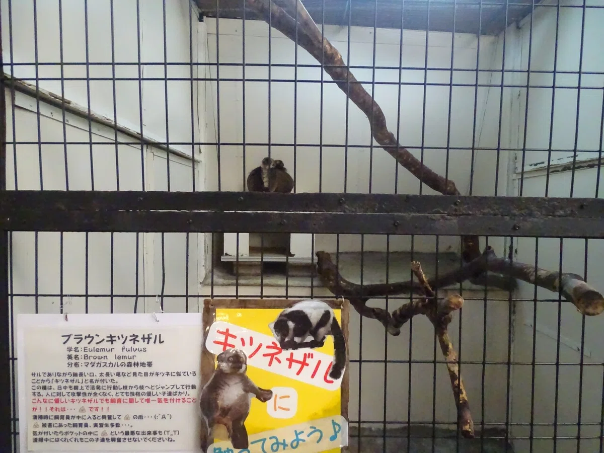 画像98