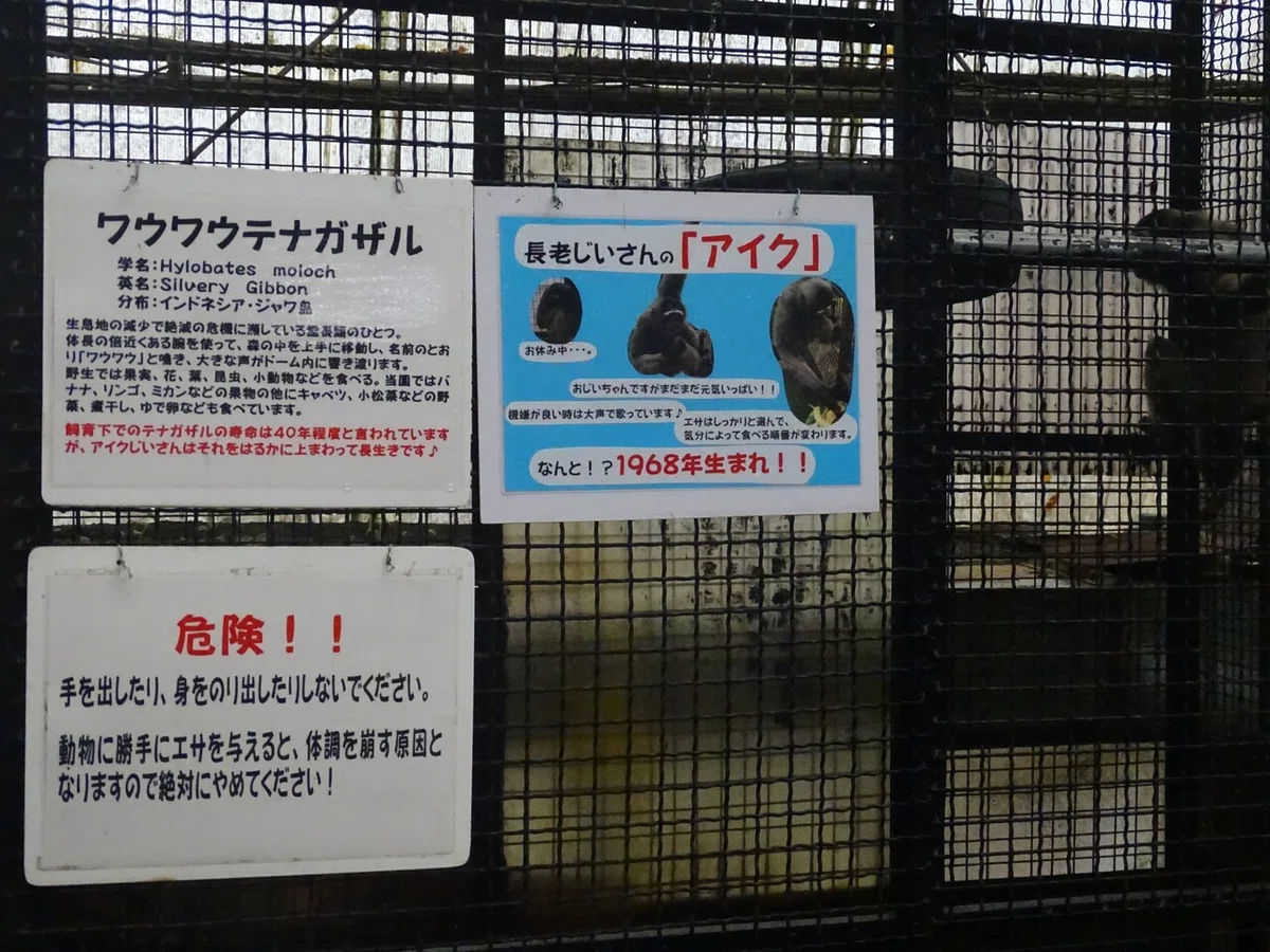 画像109