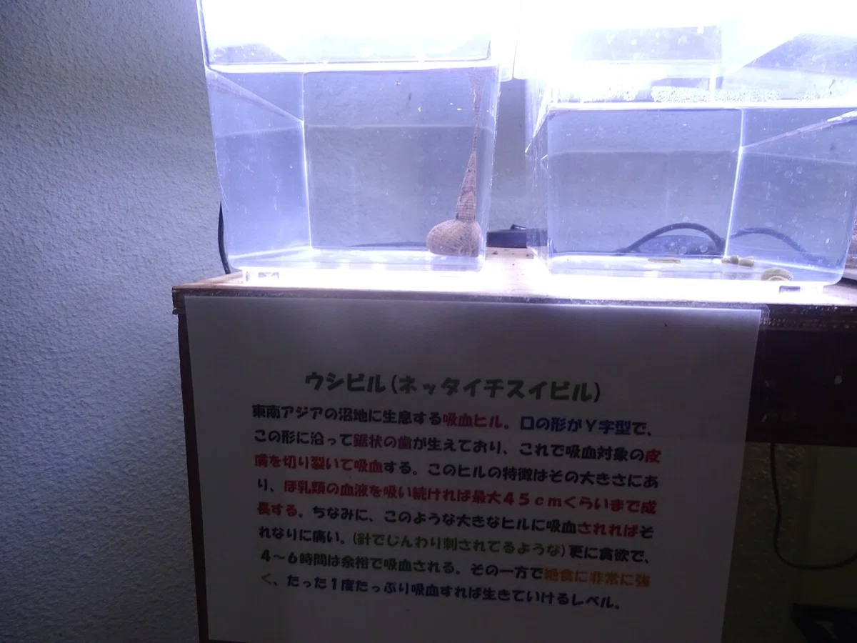 画像120