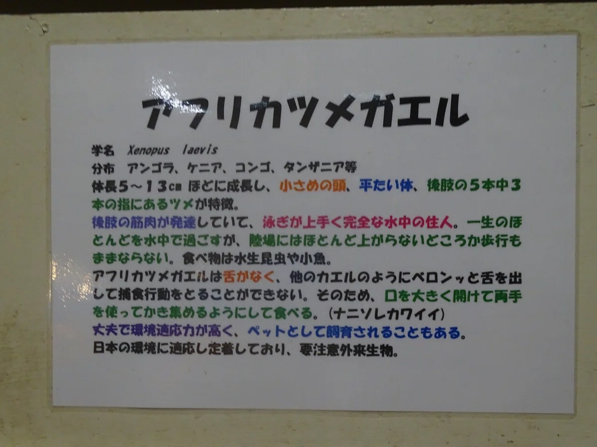 画像118