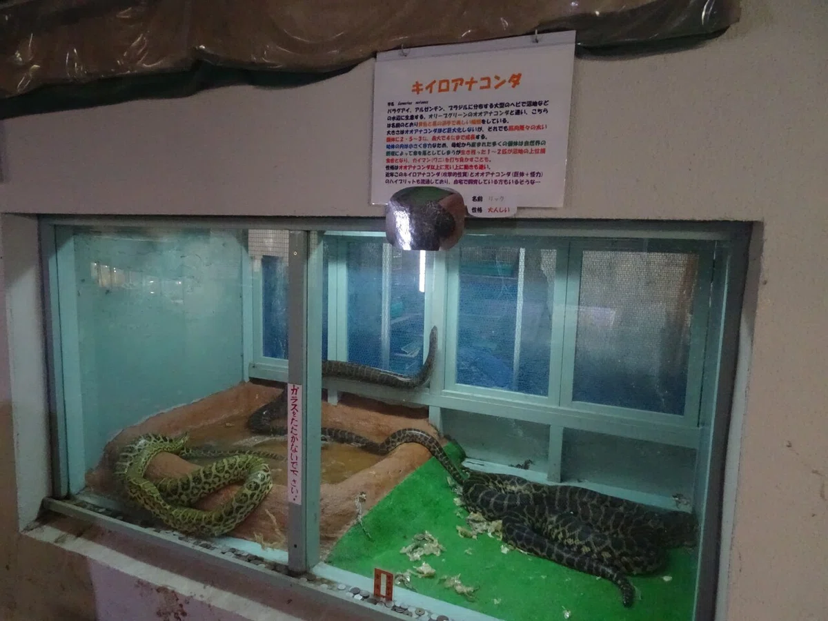 画像127