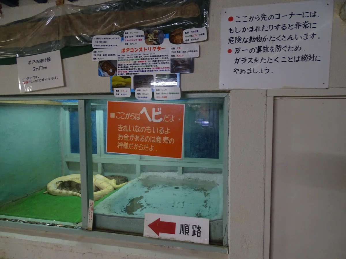 画像124