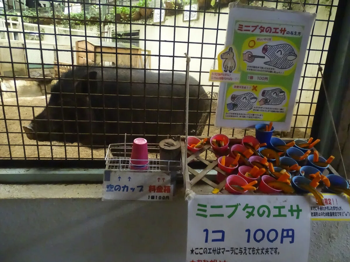 画像123