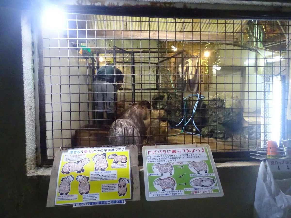 画像114