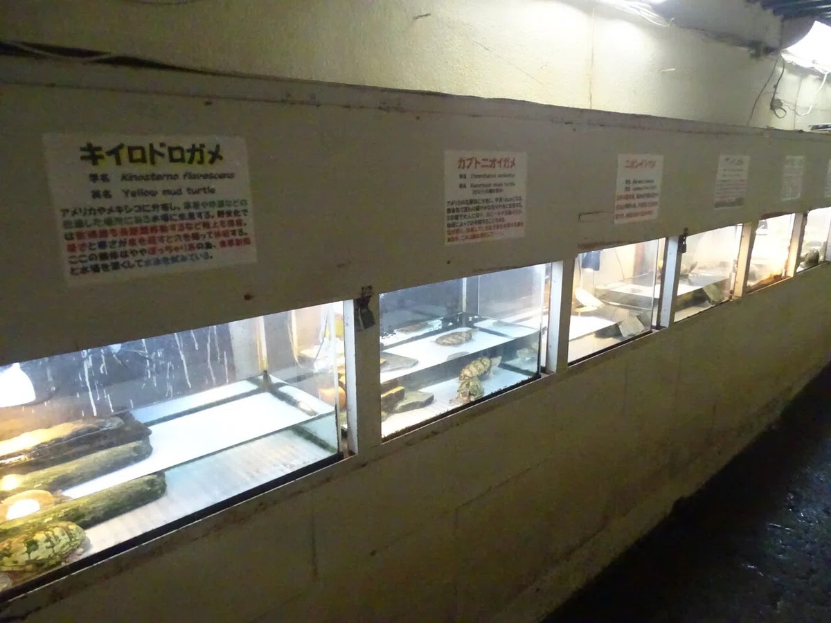 画像115