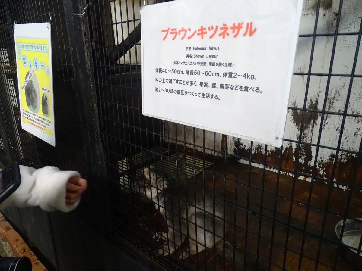 画像131