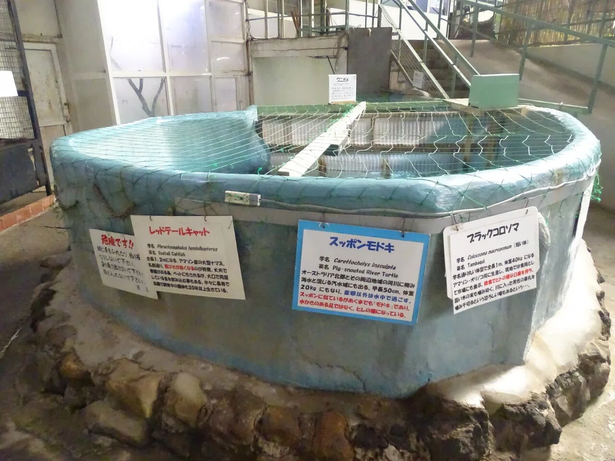 画像132