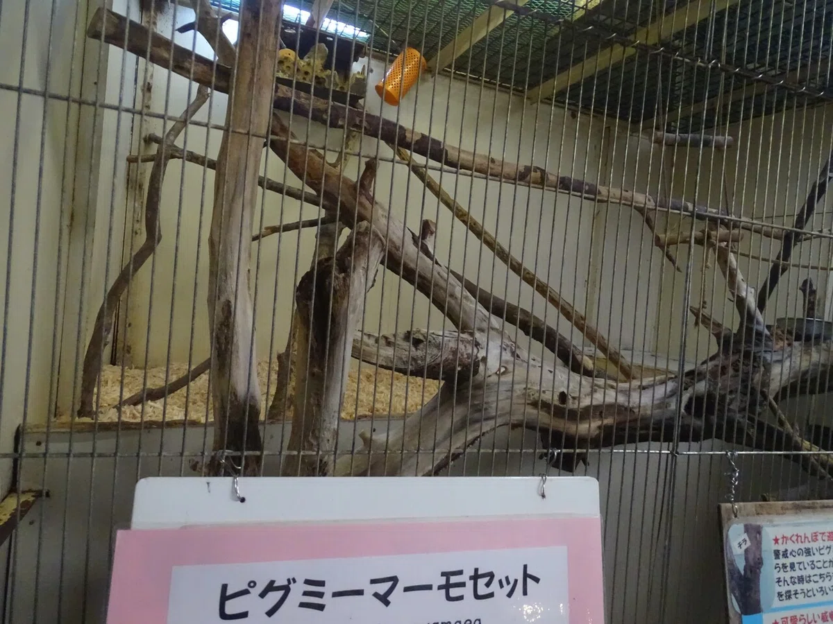 画像135