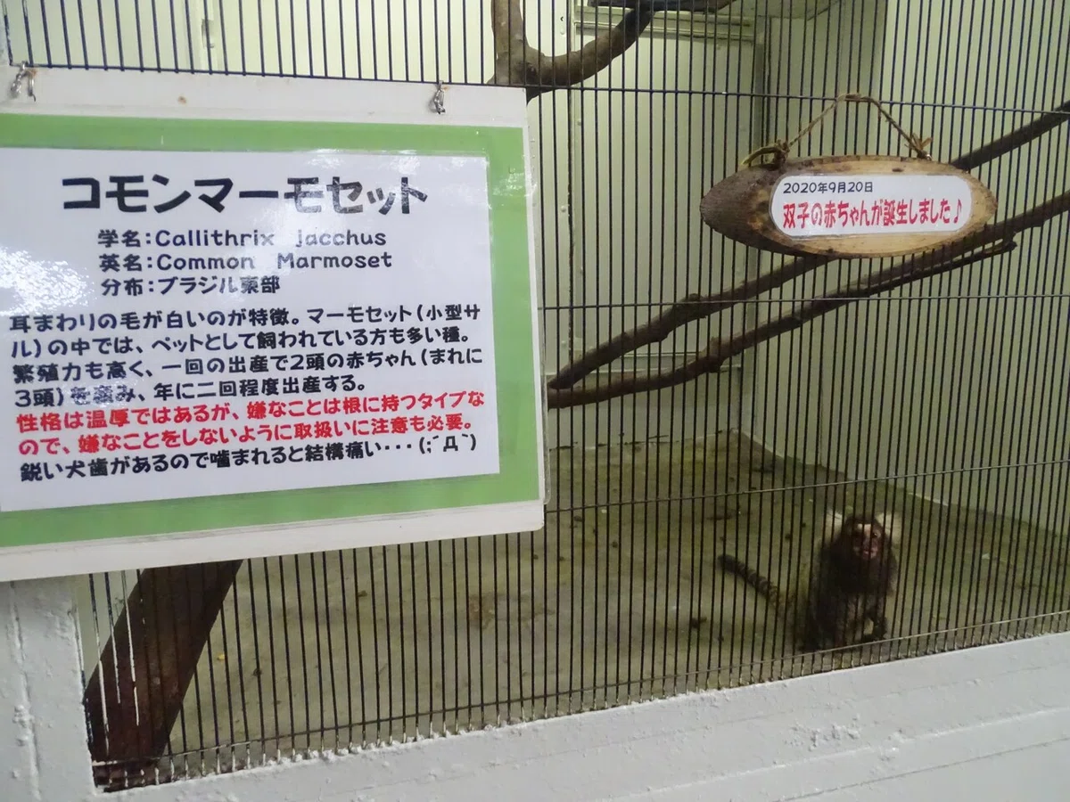 画像136