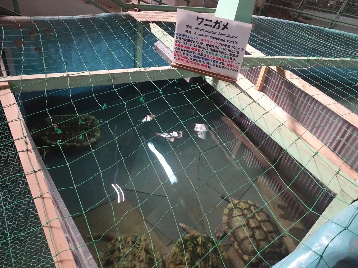 画像130
