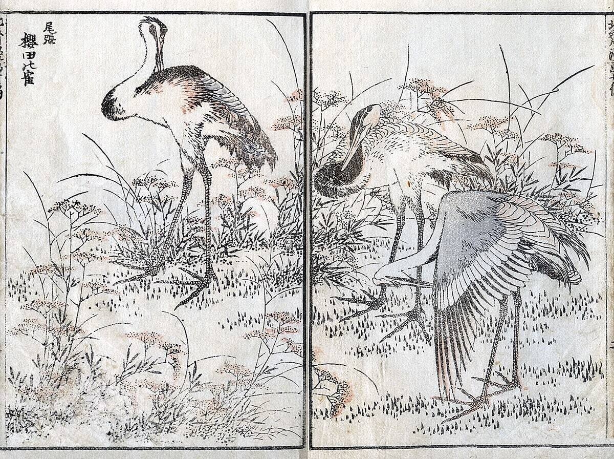 狩野晴川院養信「松竹梅七福神図 双幅」：C-691j[掛け軸]古美術谷口